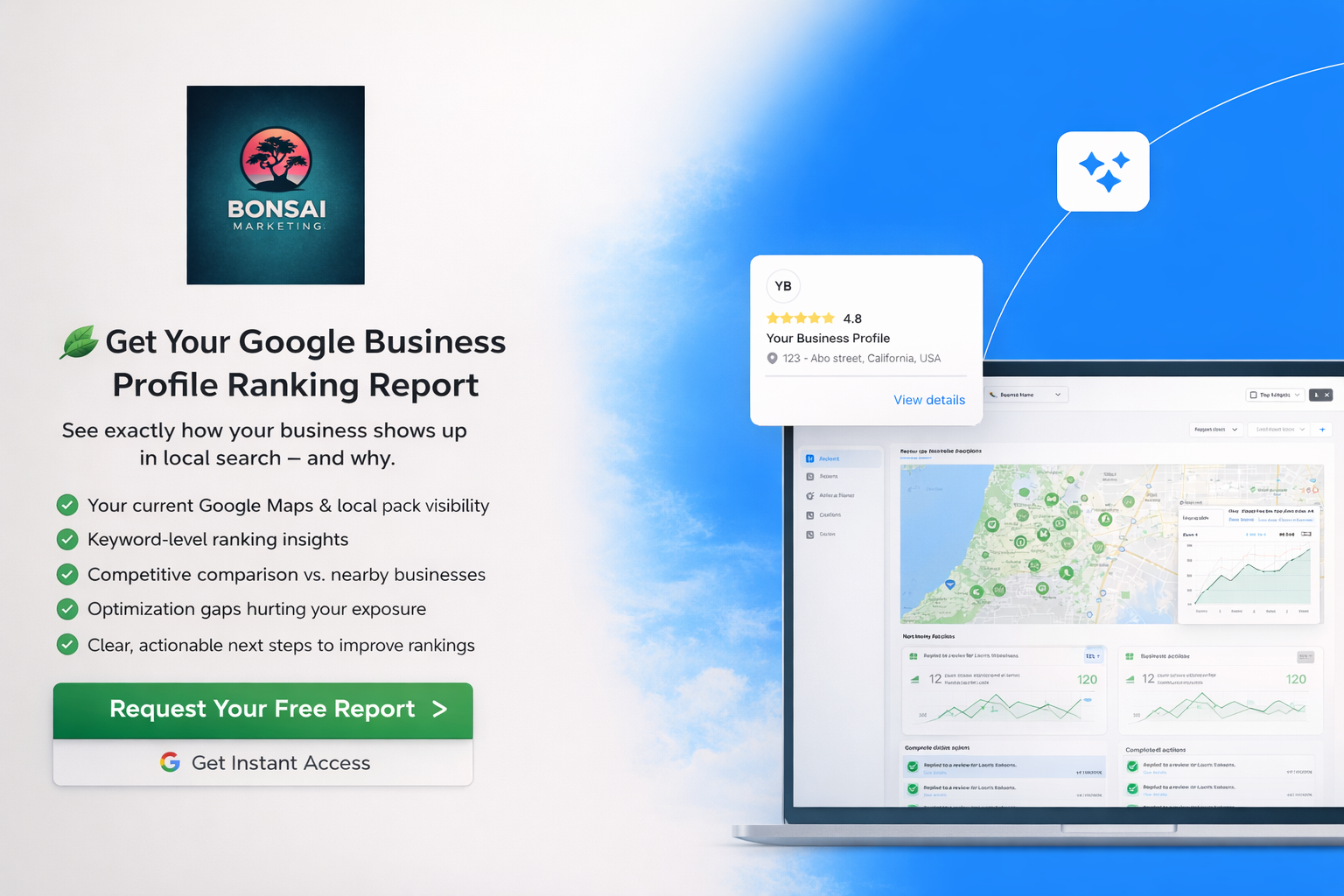 Google Business Profile ranking report overview